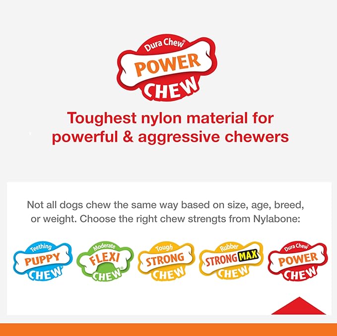 Nylabone Power Chew Ring Bone Chew Toy, Dog Toys - Image 9