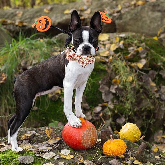Dog Collar - Thanksgiving Turkey Pet Collar Bowtie Gift Cotton Cute Bow Collar - Image 5
