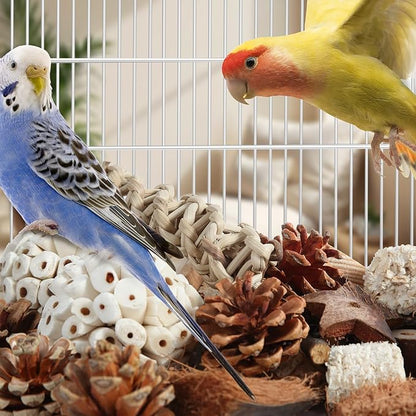 Kyouki Bird Toys Parrot Natural Bird Foraging Box Foot Toys - Image 5