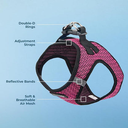 Best Pet Supplies - Image 4
