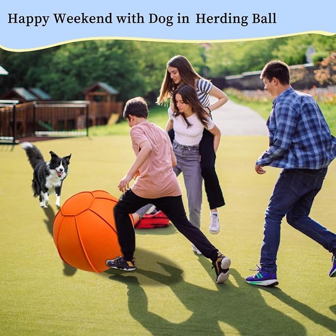 Herding Ball for Dogs, Dual Layered Herding Dog Ball Set for Australian Shepherd - Image 3