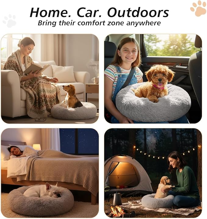JOLLYVOGUE Small Dog & Cat Beds - Image 6