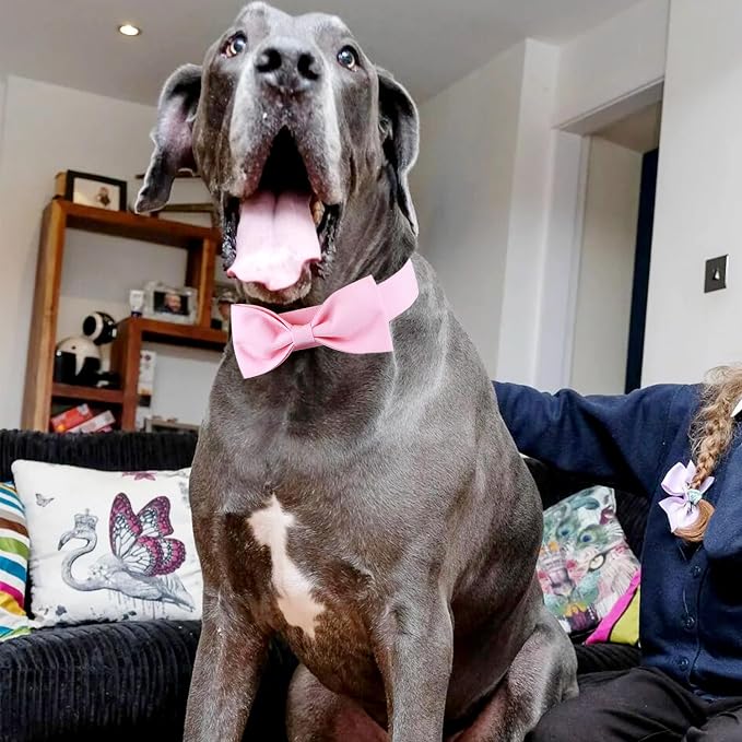 Segarty Dog Bow Ties for Large Dogs Neck Girth 16.5-21.3in, Adjustable Pink - Image 6