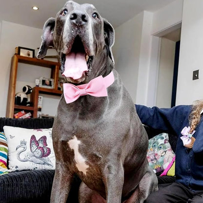 Segarty Dog Bow Ties for Large Dogs Neck Girth 16.5-21.3in, Adjustable Pink - Image 6