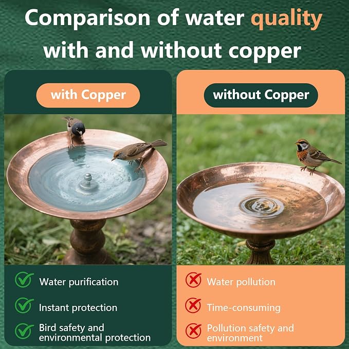 2 Pcs Bird Bath Copper Disk, 2mm Thick Reinforced Copper Cleaning Disk - Image 2