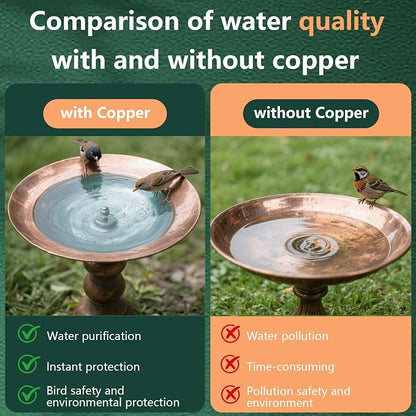 2 Pcs Bird Bath Copper Disk, 2mm Thick Reinforced Copper Cleaning Disk - Image 2