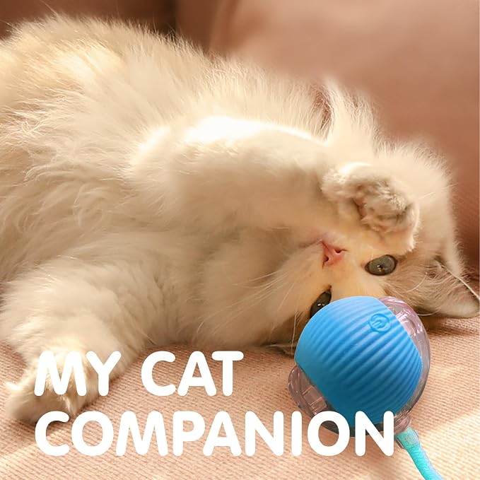 Rocfish Durable Interactive Cat Toys - Image 8