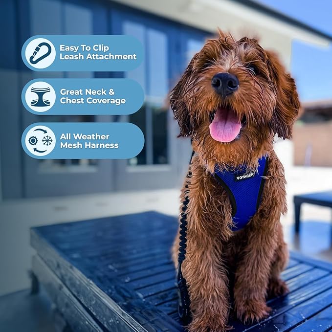 Best Pet Supplies Voyager Step-in Air Harness - Image 3