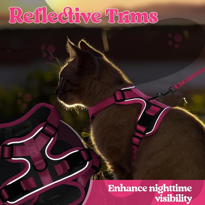 rabbitgoo Cat Harness and Leash Set, Escape Proof Soft Adjustable Vest Harnesses - Image 7
