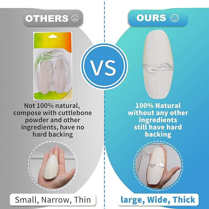 Jmxu's 5"-5.5" Bird Cuttlebone for Parakeets, Cuddle Bone - Image 5