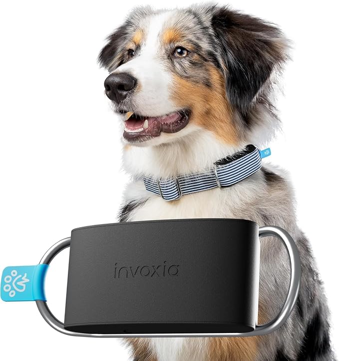 Invoxia Minitailz by invoxia