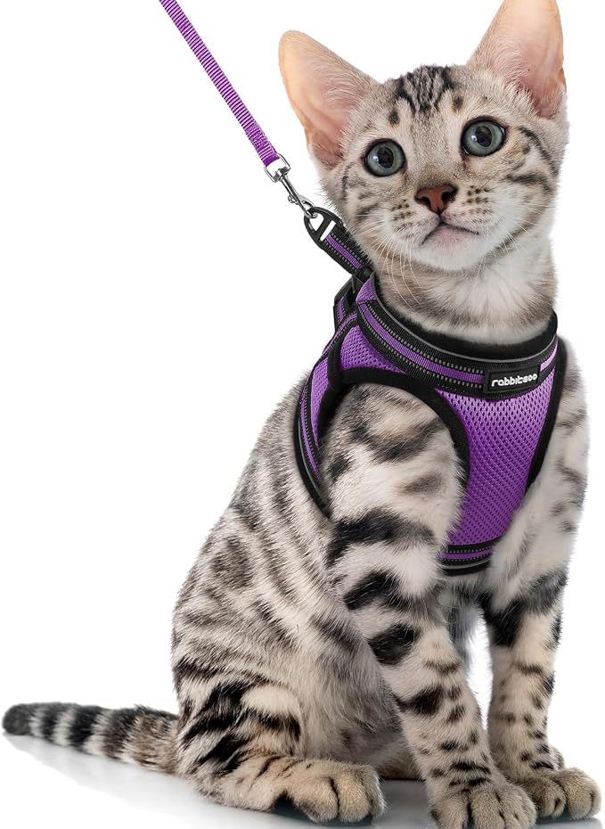 rabbitgoo Cat Harness and Leash Set by rabbitgoo