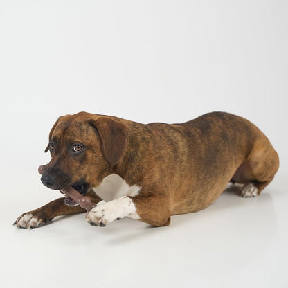 SPOT Bam-Bones Wishbone - Image 8