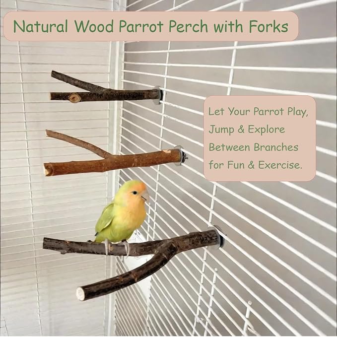 4 Pack Bird Perches for Cage - Image 3