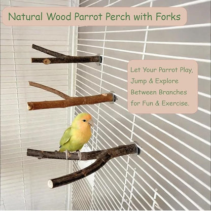 4 Pack Bird Perches for Cage - Image 3