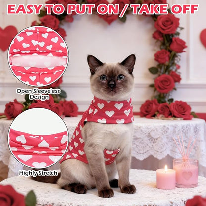 EXPAWLORER Cat Valentines Outfit Sweater - Image 3