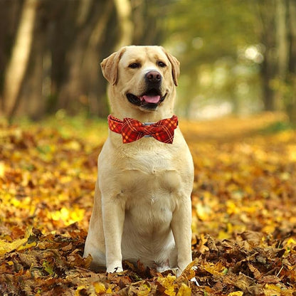 Fall Dog Collar, Pet Collar Bow Plaid Pet Collar Girl Boy Holiday Pet Collars - Image 5