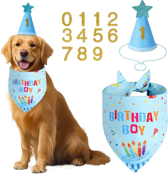 Dog Birthday Party Supplies by Unknown
