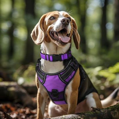 Joytale Reflective Dog Collar, Soft Neoprene Padded, Metal D-Ring, Nylon Pet - Image 2