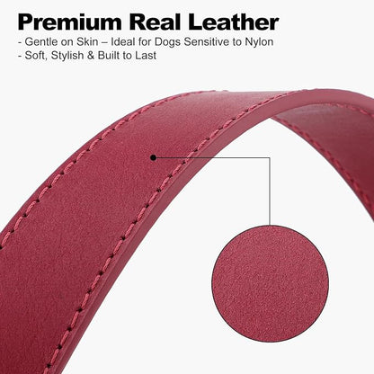Plutus Pet Genuine Leather Dog Collar – Adjustable Pet Collar - Image 4