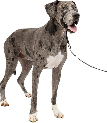 PetSafe Gentle Leader Headcollar No-Pull Dog Collar by PetSafe