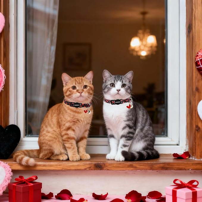 Cat Collar, 2 Pack Cat Collars Breakaway - Image 5