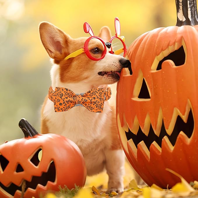 Halloween Dog Collar, Pet Collar Dog Bow Pumpkin Pet Collar Girl Boy Holiday - Image 4