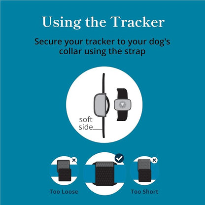Petivity Smart GPS and Activity Pet Tracker - Image 6