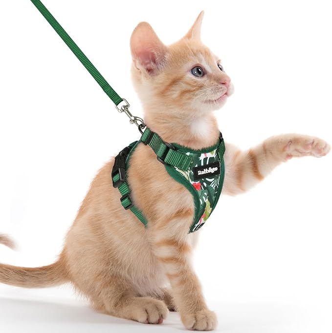 rabbitgoo Cat Harness and Leash by rabbitgoo