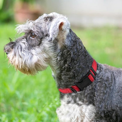 Joytale Reflective Dog Collar, Soft Neoprene Padded Breathable Nylon Pet Collar - Image 2