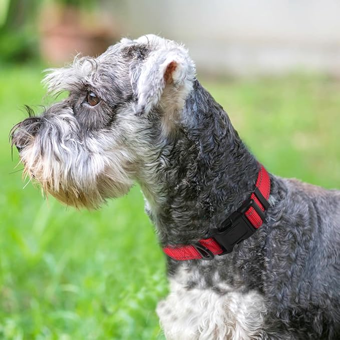 Joytale Reflective Dog Collar, Soft Neoprene Padded, Metal D-Ring, Nylon Pet - Image 2