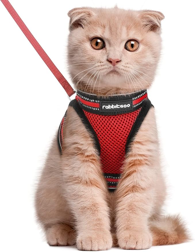 rabbitgoo Cat Harness and Leash Set by rabbitgoo
