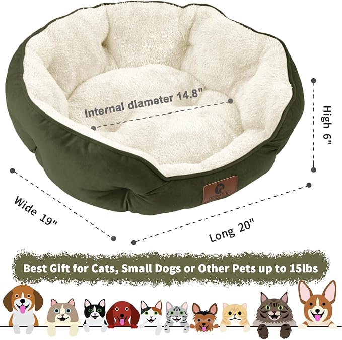 Asvin Small Dog Bed for Small Dogs, Cat Beds for Indoor Cats, Pet Bed for Puppy - Image 3