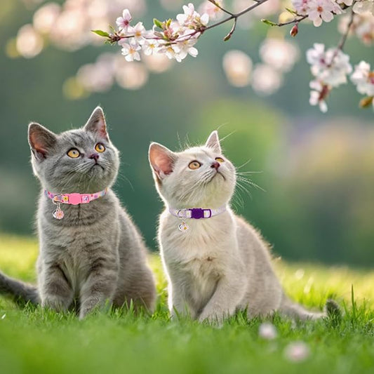 Breakaway Cat Collar with Bells, 3 Pack Summer Spring Cat Collar - Image 2