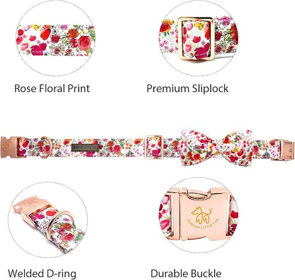 Elegant little tail Dog Collar - Image 2