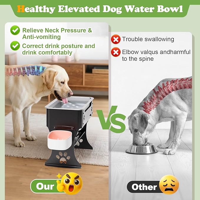 1.5 Gallon Elevated Large Dog Water Bowl, 2 Height Adjustable Stainless Steel - Image 3