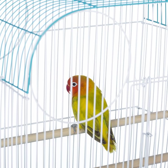 Prevue Pet Products South Beach Flat Top Bird Cage - Image 8