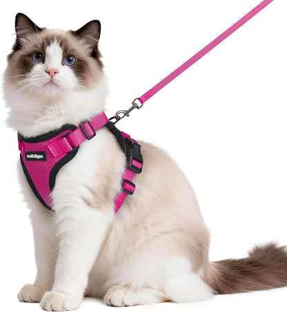 rabbitgoo Cat Harness and Leash by rabbitgoo