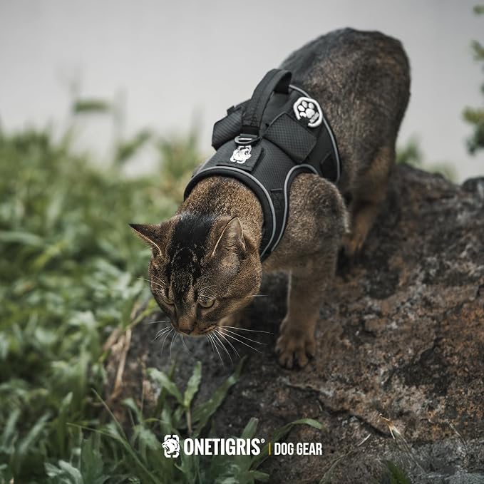 OneTigris Cat Harness and Leash - Image 9