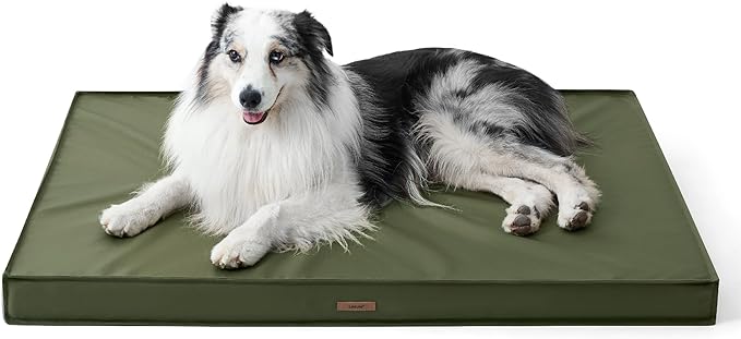 LE SURE Outdoor Waterproof Dog Beds Large Sized Dog, Orthopedic Egg Crate Foam by Lesure