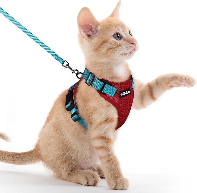 rabbitgoo Cat Harness and Leash by rabbitgoo