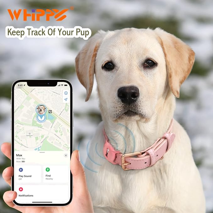 WHIPPY Airtag Leather Dog Collar GPS Tracker Air Tag Puppy Collar Adjustable - Image 2