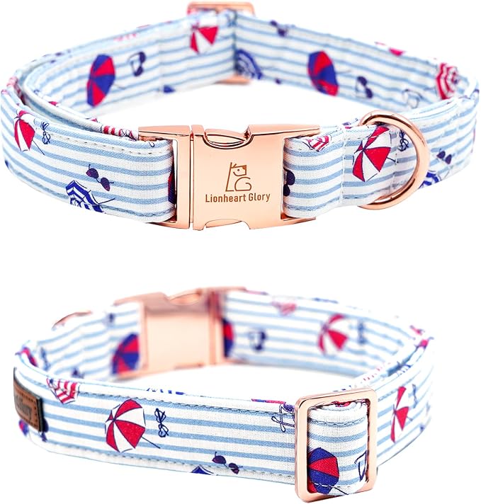 Lionheart glory Dog Collar, Dog Collar - Image 4