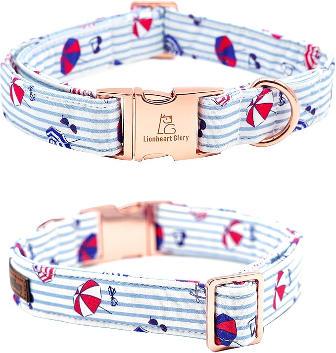 Lionheart glory Dog Collar, Dog Collar - Image 4