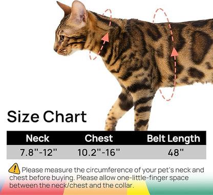 Cat Harness and Leash Set - Image 6