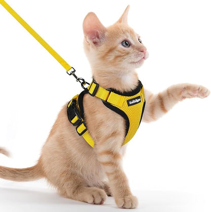 rabbitgoo Cat Harness and Leash by rabbitgoo