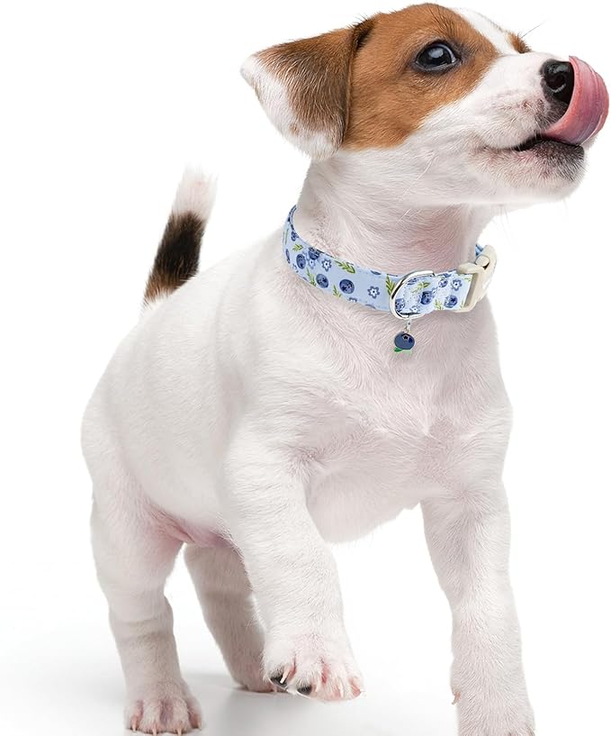 Faygarsle Blueberry Pattern Dog Collar - Image 6