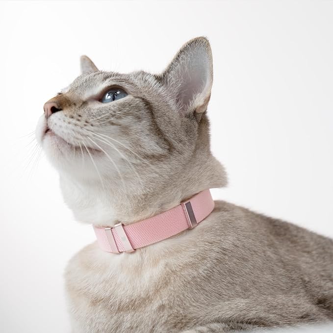 Safety Cat Collar - Image 6