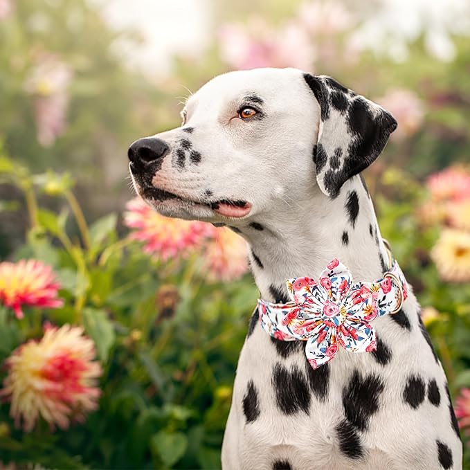 Lionheart glory Dog Collar Flowers Collar Floral Dog Collar - Image 6