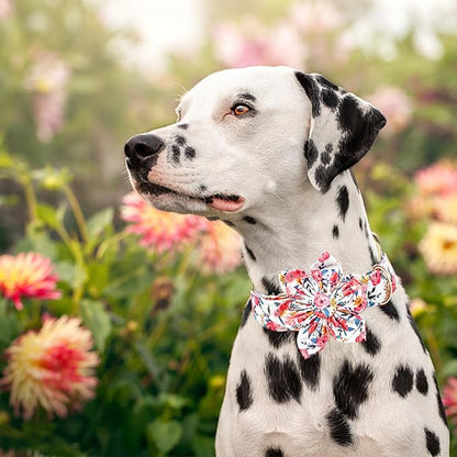 Lionheart glory Dog Collar Flowers Collar Floral Dog Collar - Image 6